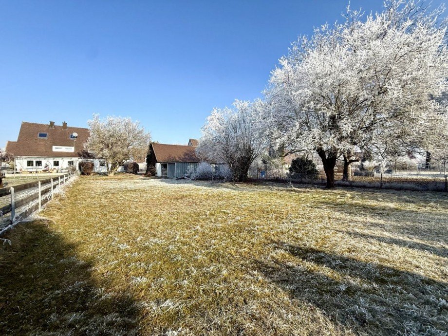 8 Doppelhaush�lfte Lauingen