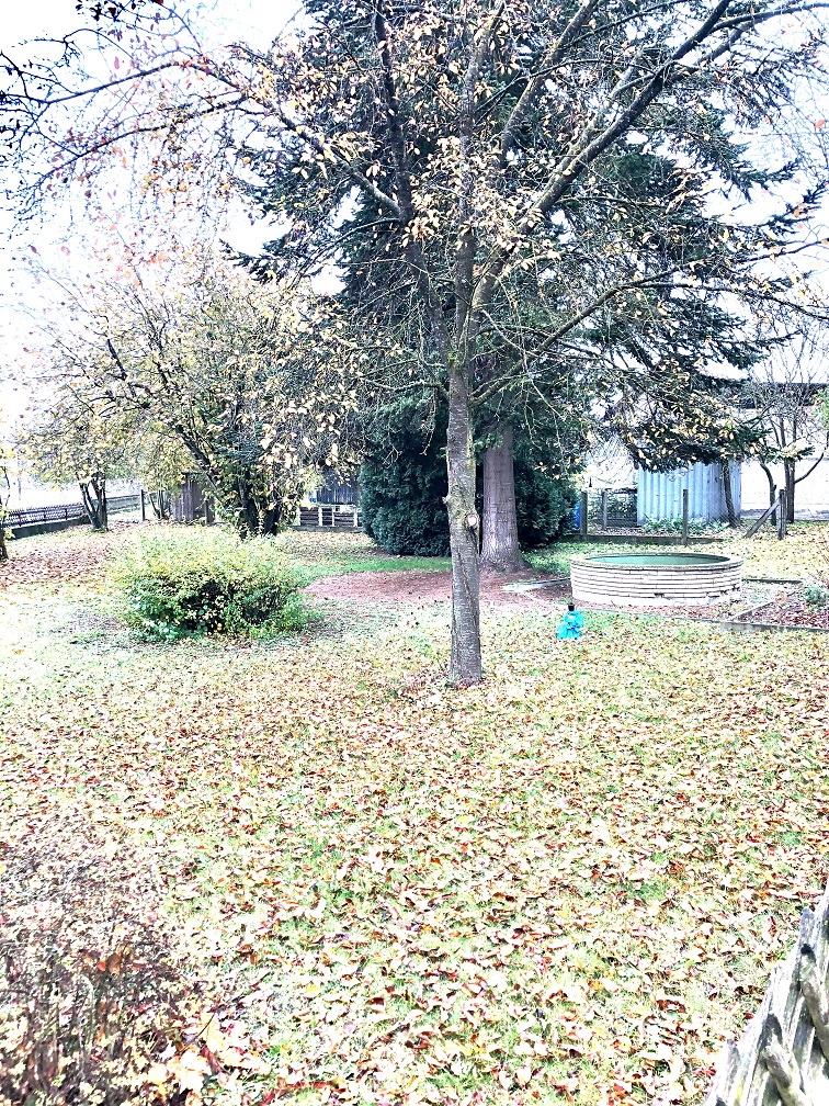 5 Wohnung Dillingen