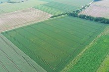 1 3,82 ha Ackerland in Haunsheim, 1a Lage, 1a Ertr�ge, 1a Investment