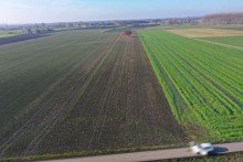 1 1,13 ha Ackerland in Lauingen, 1a Lage, 1a Ertr�ge, 1a Investment, zeitnah verf�gbar!
