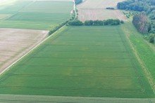 2 3,82 ha Ackerland in Haunsheim, 1a Lage, 1a Ertr�ge, 1a Investment