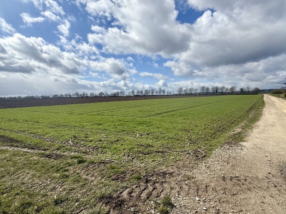 3 Grundst�ck Wittislingen