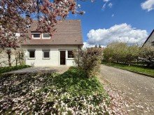 8 Attraktive Doppelhaush�lfte m. Nebengeb�uden auf rund 1100m2 Grundst�ck in Lauingen!